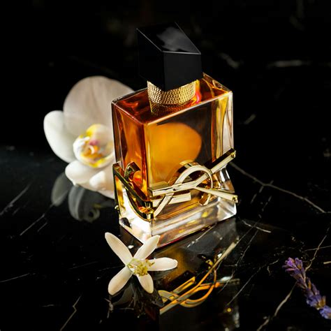 ysl perfumes india|yves saint laurent perfume offers.